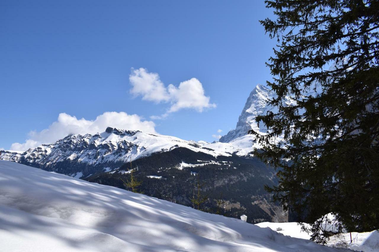 Sportlodge Muerren Exteriör bild